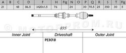 PE3017