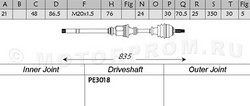 PE3017