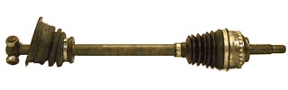 T49215A1 