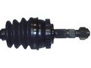 T58219
